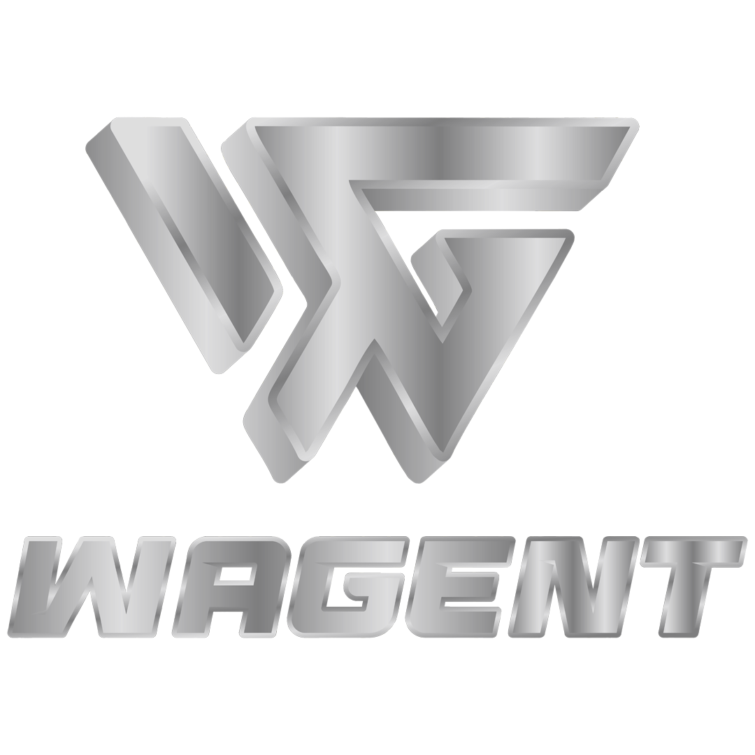 WAGENT AIRSUSPENSION